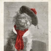 Postcard, Wee MacGreegor